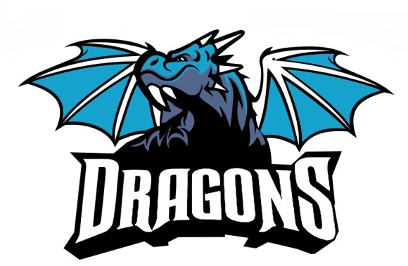 DVMSA