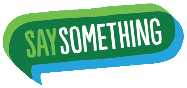  Say Something